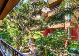 Palermo San Diego Condos - Tropical Landscaped Courtyard