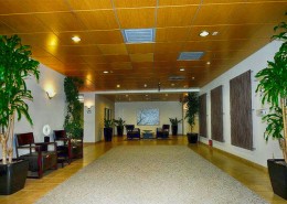 Solara Lofts - Lobby